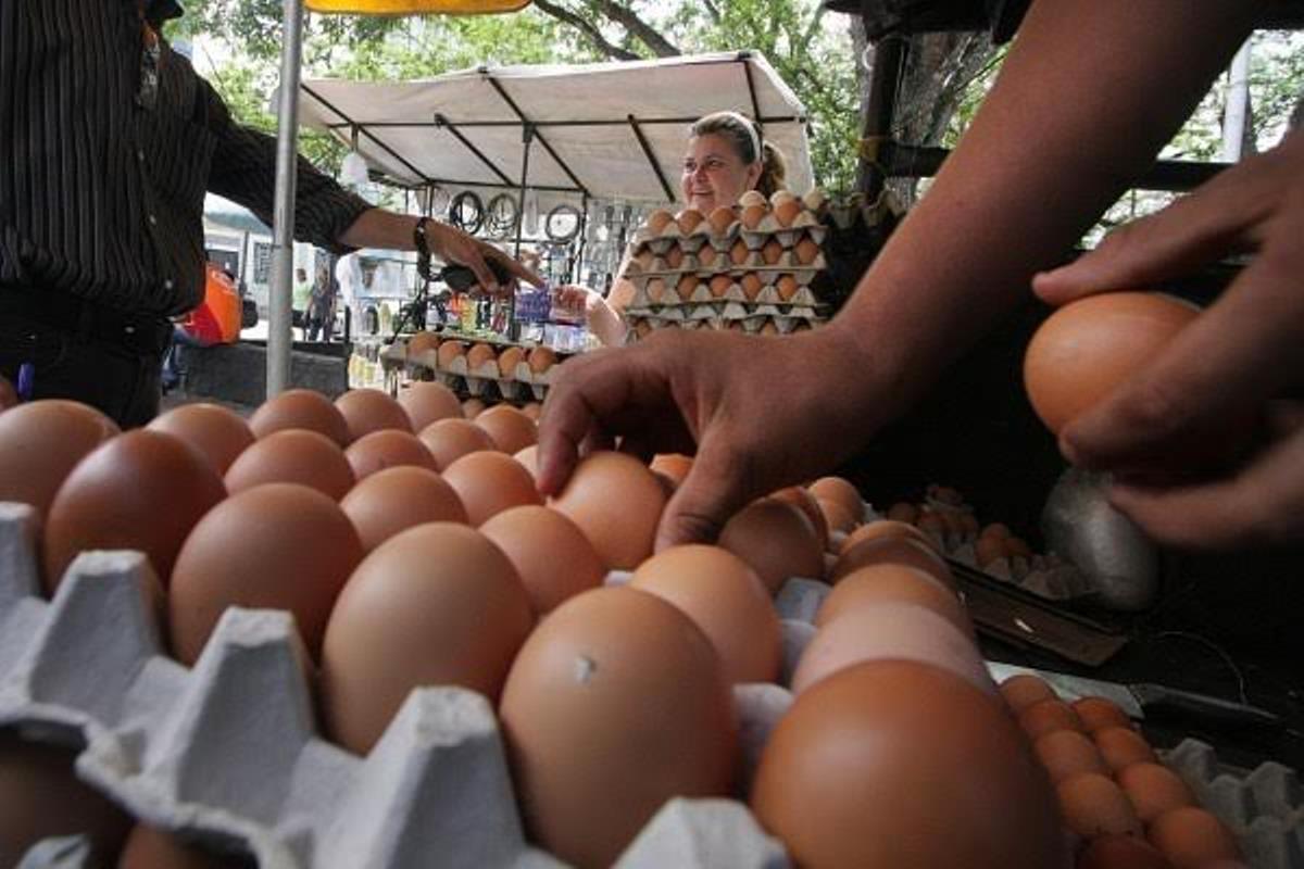 Resultado de imagen para huevos en venezuela