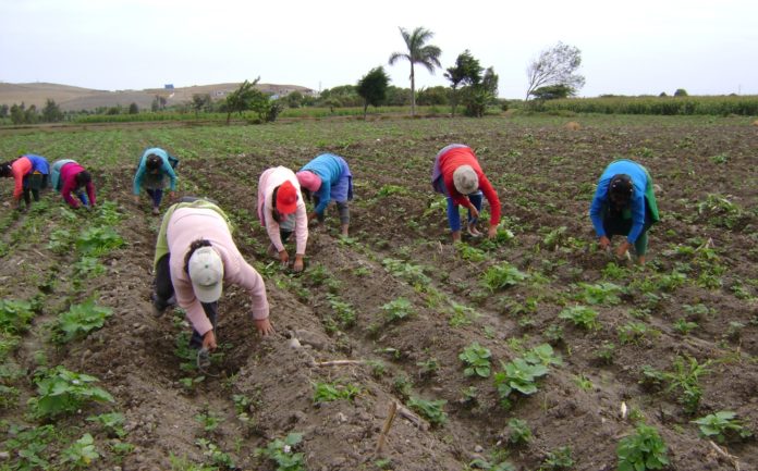 Aseguran que la falta de gasoil, robos y desinversión tiene en crisis a trabajadores agropecuarios