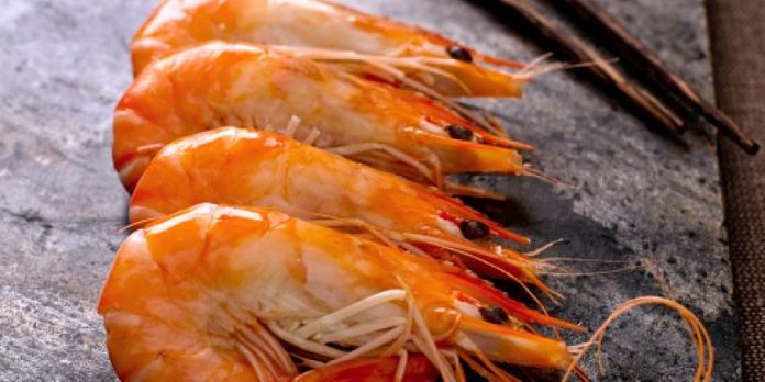 Productores de camarones han exportado más de 18 toneladas en lo que va de 2021